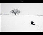 dailyPhoto2